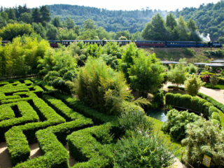 Bambouseraie en Cévennes : immersion dans un jardin botanique unique
