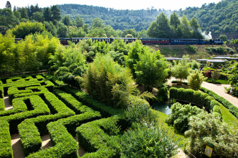 Bambouseraie en Cévennes : immersion dans un jardin botanique unique