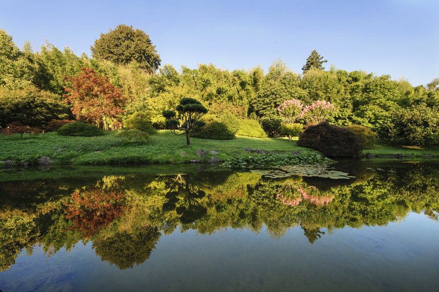 Bambouseraie en Cévennes : immersion dans un jardin botanique unique