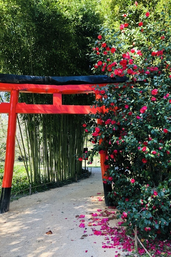 Bambouseraie en Cévennes : immersion dans un jardin botanique unique