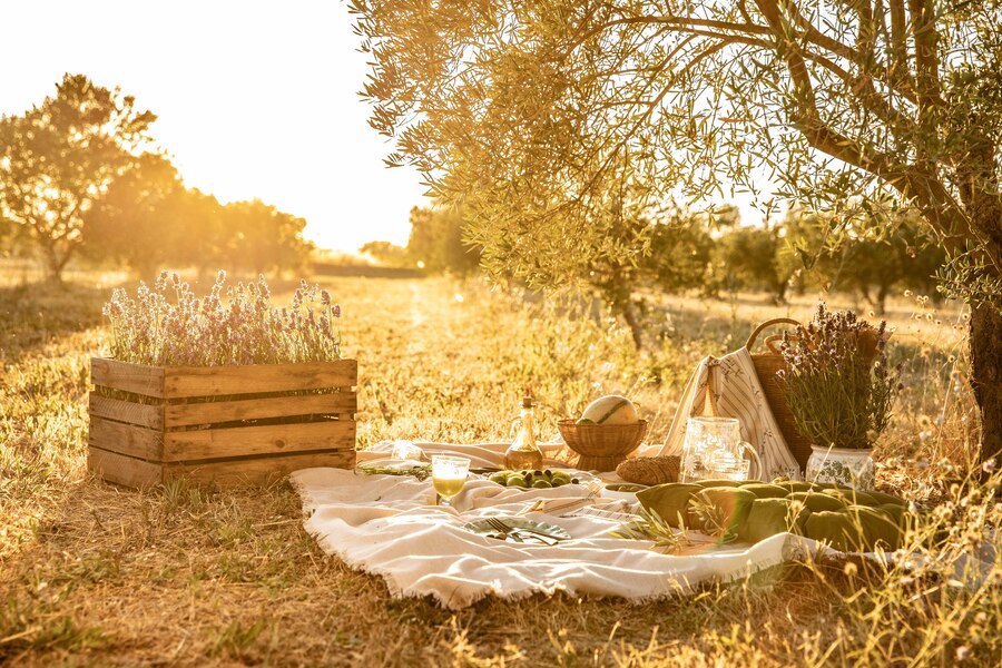 Déco lavande : idées pour une table provençale élégante