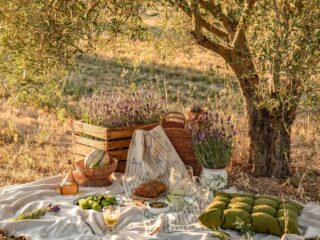 Déco lavande : idées pour une table provençale élégante