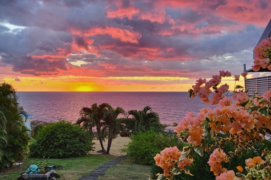 Votre villa en Guadeloupe entre nature et intimité
