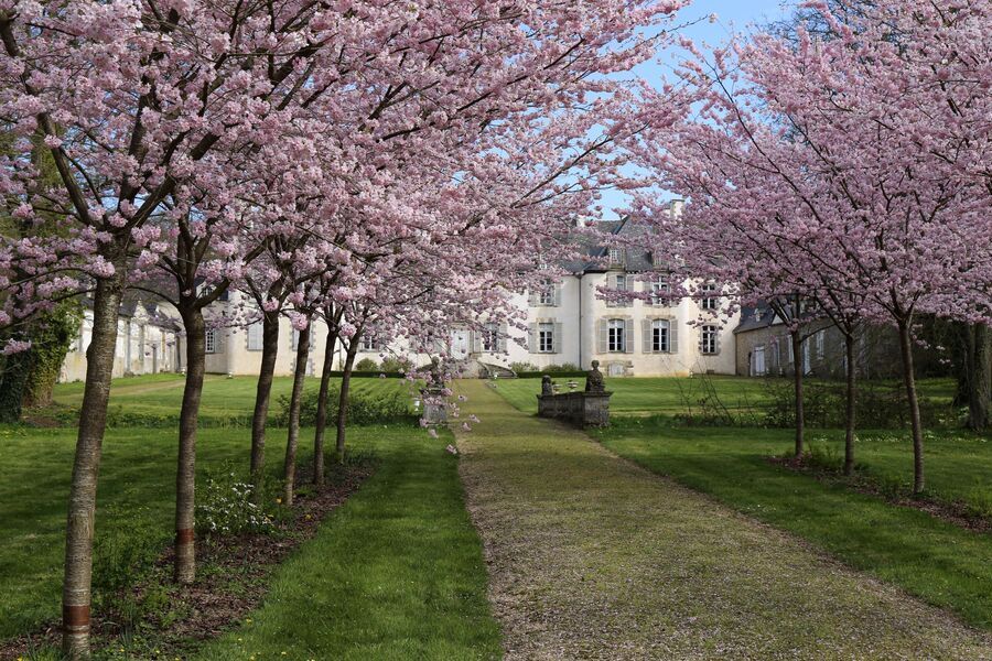 Séjourner en Bretagne entre nature et patrimoine