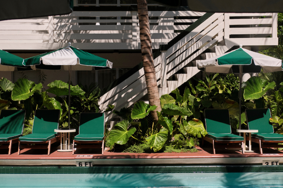 Perroquet Hotel : le nouveau motel design élégant en Floride