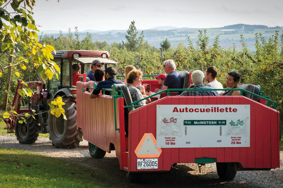 Agrotourisme au Québec : à la découverte des saveurs du terroir